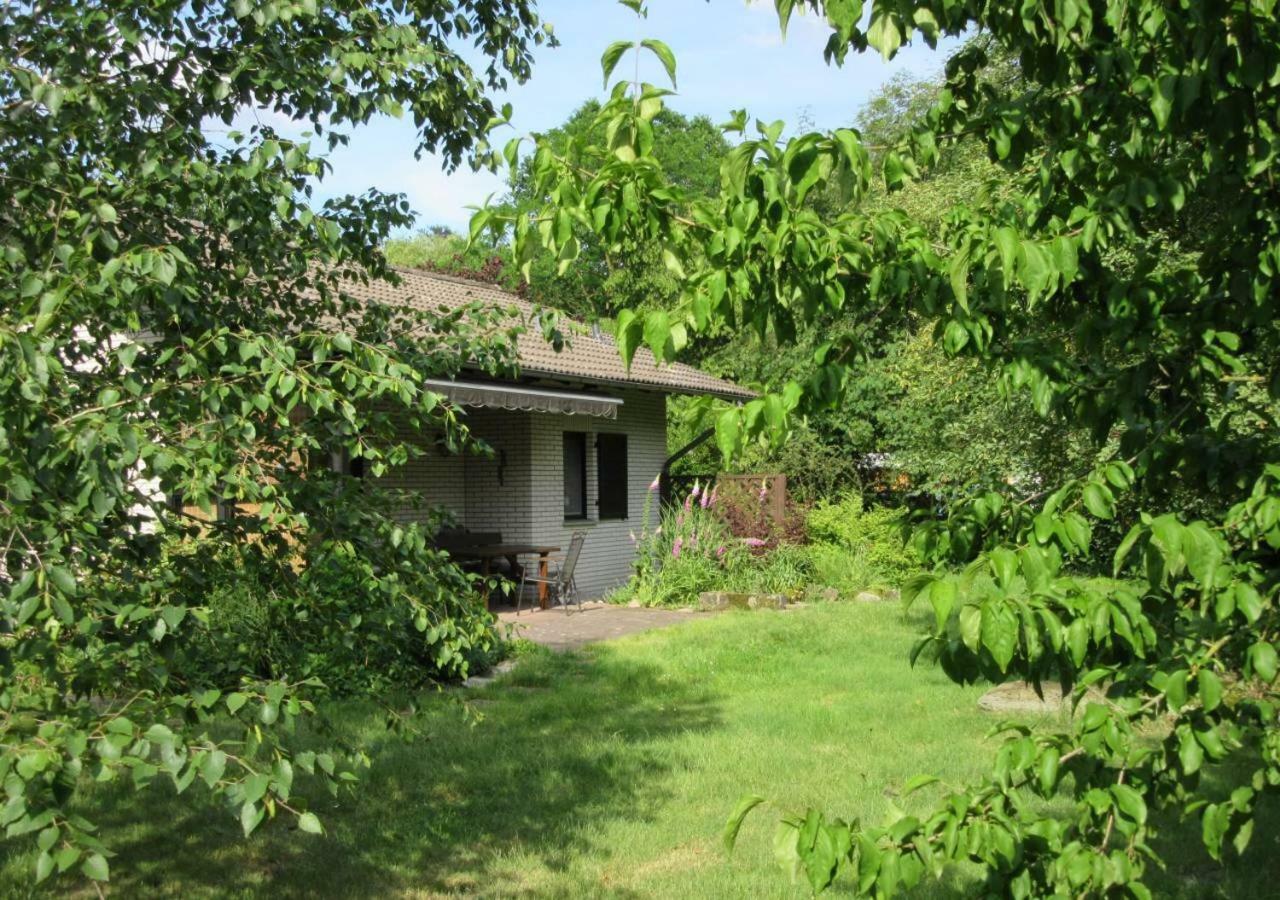 Villa Ferienhaus Uchte / Darlaten Exterior foto